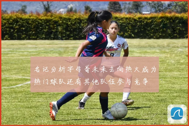 名记分析字母哥未来去向热火成为热门球队还有其他队伍参与竞争