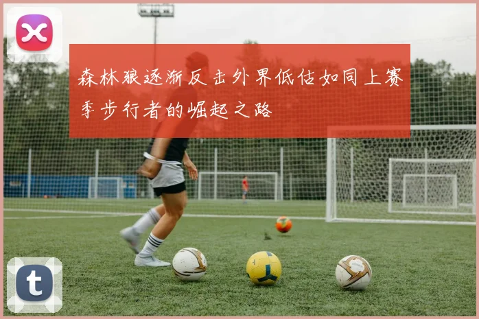 森林狼逐渐反击外界低估如同上赛季步行者的崛起之路