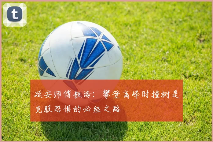延安师傅教诲：攀登高峰时撞树是克服恐惧的必经之路